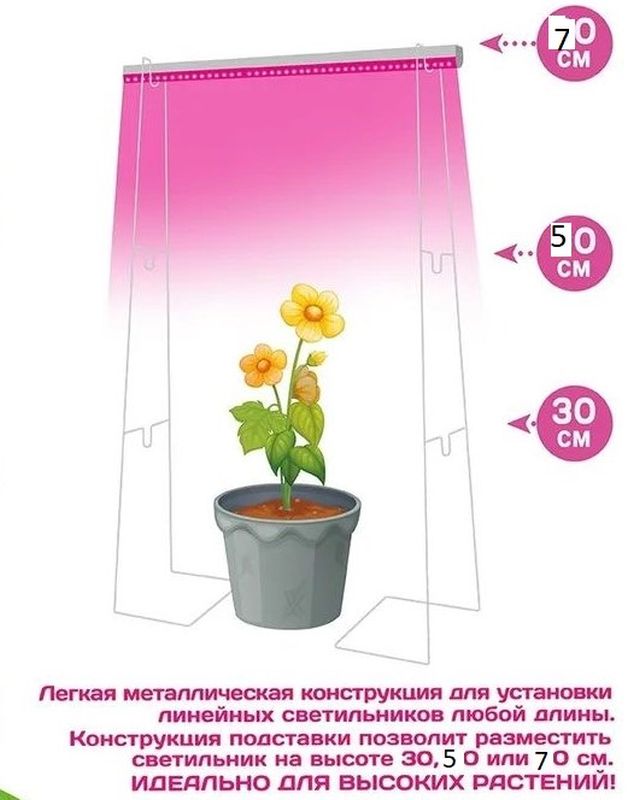Подставка для фитосветильника линейного, металлическая 3-х уровневая, (высота 30/50/70)
Подставка для фитосветильника линейного, металлическая 3-х уровневая, (высота 30/50/70)