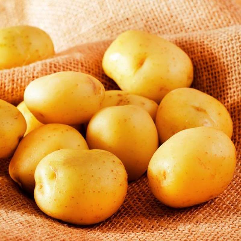 Картофель Лада, Картофель Лада описание сорта, Картофель Лада характеристики сорта
Картофель Лада, Картофель Лада описание сорта, Картофель Лада характеристики сорта