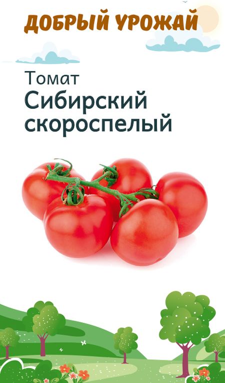 томат сибирский скороспелый семена, томат сибирский скороспелый семена купить
томат сибирский скороспелый семена, томат сибирский скороспелый семена купить