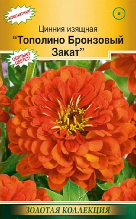 цинния изящная тополино бронзовый закат семена, цинния изящная тополино бронзовый закат семена купить
цинния изящная тополино бронзовый закат семена, цинния изящная тополино бронзовый закат семена купить