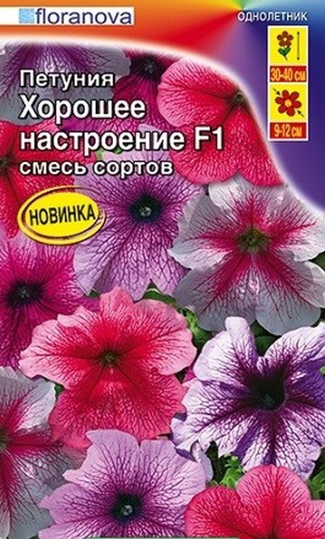 петуния хорошее настроение f1, смесь окрасок семена, петуния хорошее настроение f1, смесь окрасок семена купить
петуния хорошее настроение f1, смесь окрасок семена, петуния хорошее настроение f1, смесь окрасок семена купить