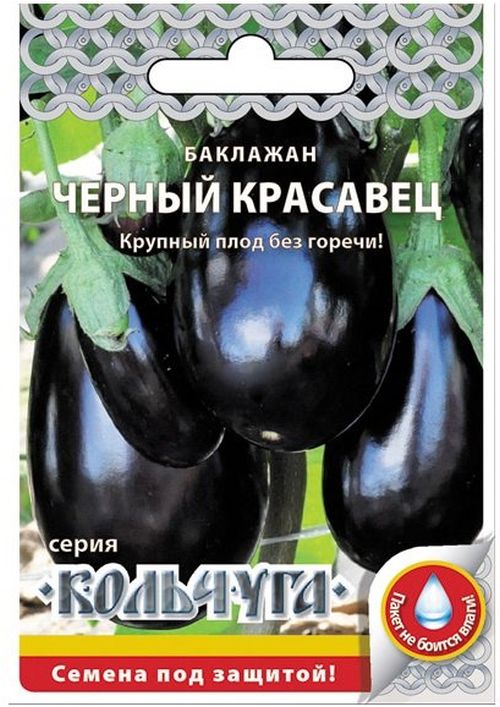 баклажан черный красавец "кольчуга new" семена, баклажан черный красавец "кольчуга new" семена купить
баклажан черный красавец "кольчуга new" семена, баклажан черный красавец "кольчуга new" семена купить