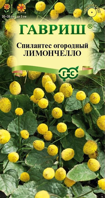 спилантес огородный лимончелло семена, спилантес огородный лимончелло семена купить
спилантес огородный лимончелло семена, спилантес огородный лимончелло семена купить
