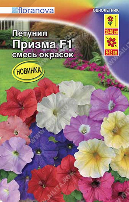 петуния призма f1, смесь окрасок семена, петуния призма f1, смесь окрасок семена купить
петуния призма f1, смесь окрасок семена, петуния призма f1, смесь окрасок семена купить