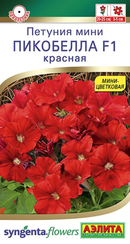 петуния мини пикобелла f1 красная семена, петуния мини пикобелла f1 красная семена купить
петуния мини пикобелла f1 красная семена, петуния мини пикобелла f1 красная семена купить