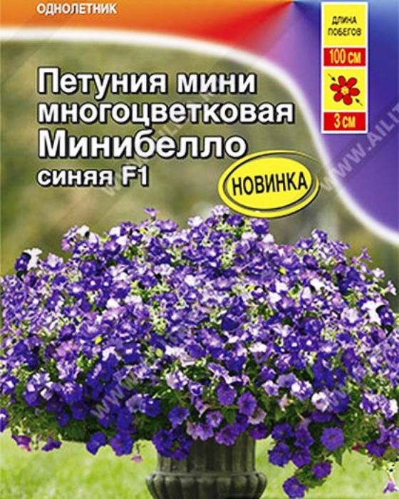 петуния мини минибелло f1 синяя многоцветковая® семена, петуния мини минибелло f1 синяя многоцветковая® семена купить
петуния мини минибелло f1 синяя многоцветковая® семена, петуния мини минибелло f1 синяя многоцветковая® семена купить