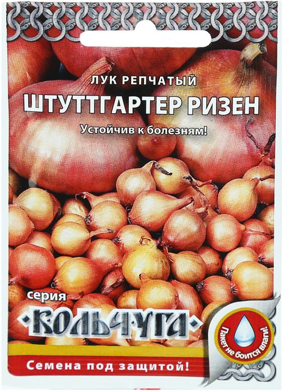 лук репчатый штуттгартер ризен "кольчуга new" семена, лук репчатый штуттгартер ризен "кольчуга new" семена купить
лук репчатый штуттгартер ризен "кольчуга new" семена, лук репчатый штуттгартер ризен "кольчуга new" семена купить