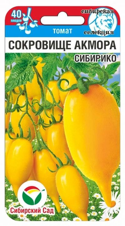 томат сокровище акмора сибирико семена, томат сокровище акмора сибирико семена купить
томат сокровище акмора сибирико семена, томат сокровище акмора сибирико семена купить
