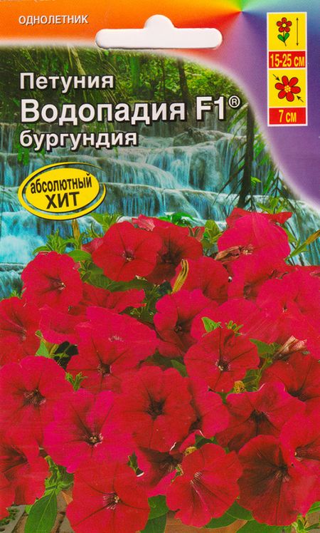 петуния водопадия f1 бургундия® семена, петуния водопадия f1 бургундия® семена купить
петуния водопадия f1 бургундия® семена, петуния водопадия f1 бургундия® семена купить