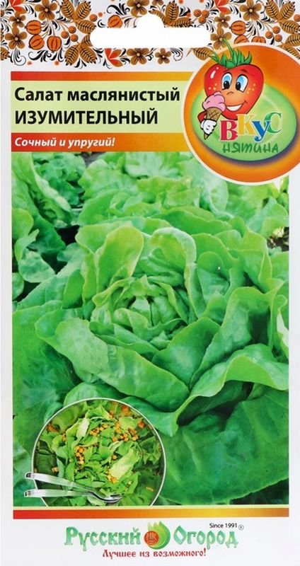 салат листовой маслянистый изумительный семена, салат листовой маслянистый изумительный семена купить
салат листовой маслянистый изумительный семена, салат листовой маслянистый изумительный семена купить