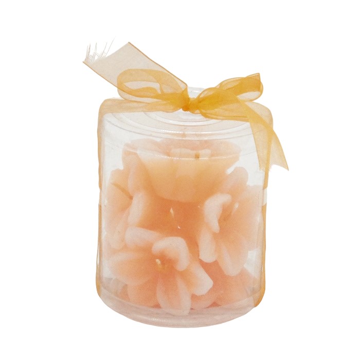 набор из 8 свечей цветы, купить набор из 8 свечей цветы
набор из 8 свечей цветы, купить набор из 8 свечей цветы