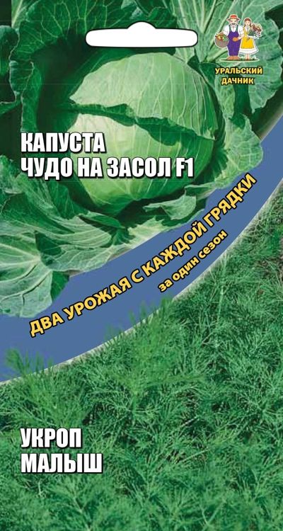 капуста б/к чудо на засол f1 + укроп малыш семена, капуста б/к чудо на засол f1 + укроп малыш семена купить
капуста б/к чудо на засол f1 + укроп малыш семена, капуста б/к чудо на засол f1 + укроп малыш семена купить