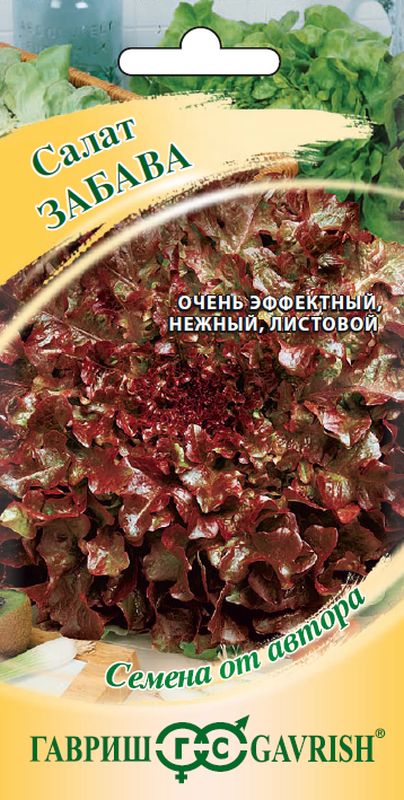 салат листовой забава красный семена, салат листовой забава красный семена купить
салат листовой забава красный семена, салат листовой забава красный семена купить