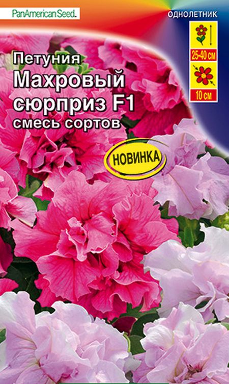 петуния махровый сюрприз f1, смесь сортов семена, петуния махровый сюрприз f1, смесь сортов семена купить
петуния махровый сюрприз f1, смесь сортов семена, петуния махровый сюрприз f1, смесь сортов семена купить