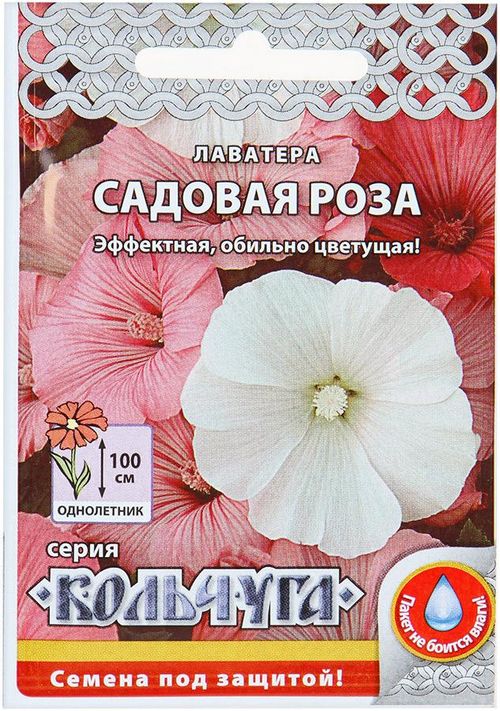 лаватера садовая роза (смесь) "кольчуга new" семена, лаватера садовая роза (смесь) "кольчуга new" семена купить
лаватера садовая роза (смесь) "кольчуга new" семена, лаватера садовая роза (смесь) "кольчуга new" семена купить