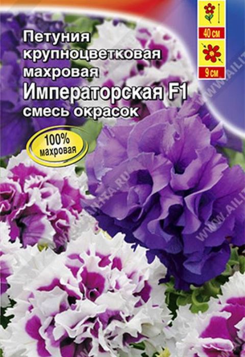 петуния императорская f1 крупноцветковая махровая, смесь окрасок семена, петуния императорская f1 крупноцветковая махровая, смесь окрасок семена купить
петуния императорская f1 крупноцветковая махровая, смесь окрасок семена, петуния императорская f1 крупноцветковая махровая, смесь окрасок семена купить