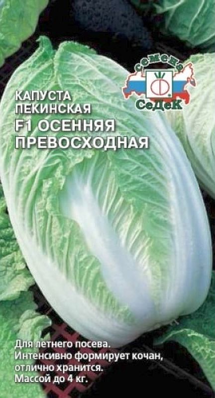 капуста пекинская f1 осенняя превосходная семена, капуста пекинская f1 осенняя превосходная семена купить
капуста пекинская f1 осенняя превосходная семена, капуста пекинская f1 осенняя превосходная семена купить
