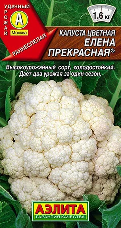 капуста цветная елена прекрасная ® семена, капуста цветная елена прекрасная ® семена купить
капуста цветная елена прекрасная ® семена, капуста цветная елена прекрасная ® семена купить