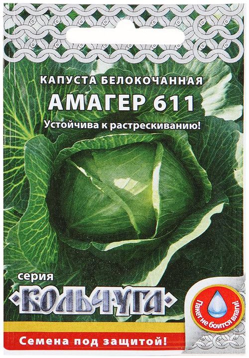 капуста б/к амагер 611 "кольчуга new" семена, капуста б/к амагер 611 "кольчуга new" семена купить
капуста б/к амагер 611 "кольчуга new" семена, капуста б/к амагер 611 "кольчуга new" семена купить