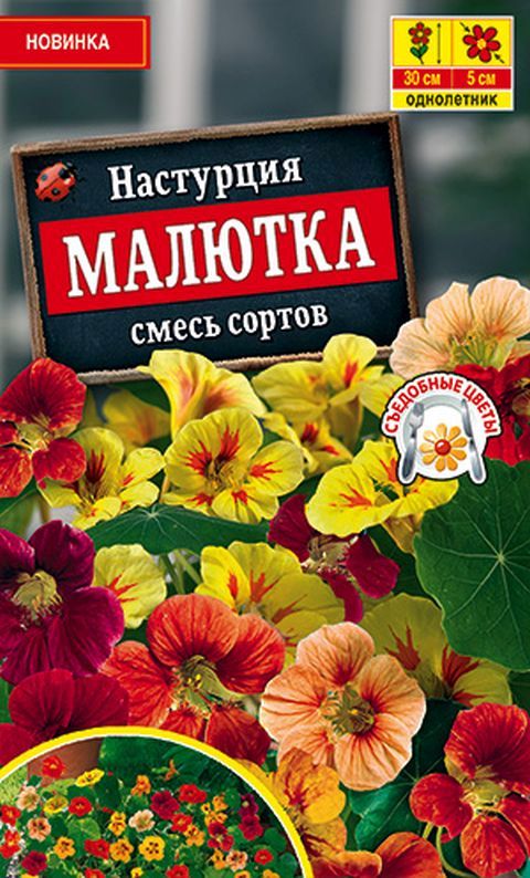 настурция малютка,смесь сортов семена, настурция малютка,смесь сортов семена купить
настурция малютка,смесь сортов семена, настурция малютка,смесь сортов семена купить