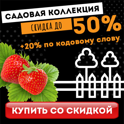Черная пятница!