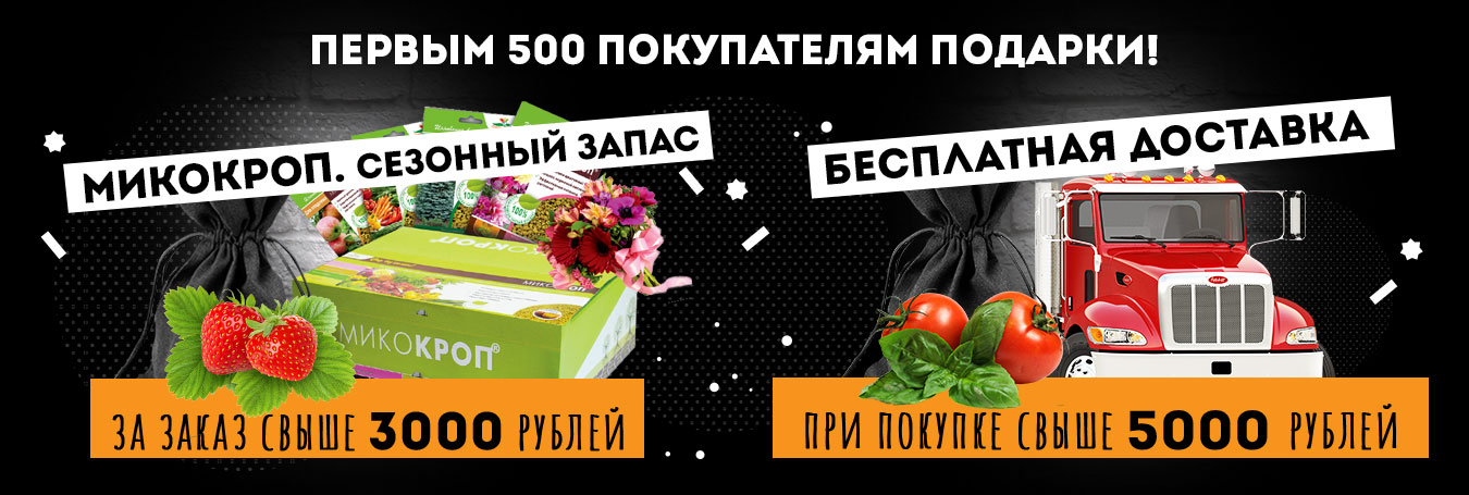 Черная пятница!