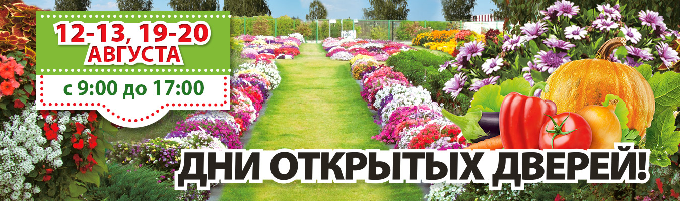 русский огород день открытых дверей 2021. Смотреть фото русский огород день открытых дверей 2021. Смотреть картинку русский огород день открытых дверей 2021. Картинка про русский огород день открытых дверей 2021. Фото русский огород день открытых дверей 2021