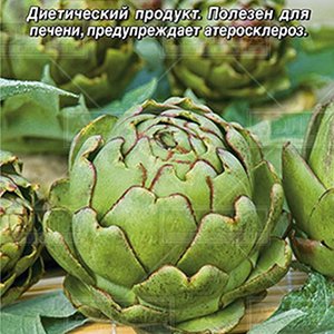 Артишок Красавец