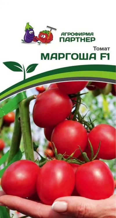 

томат маргоша f1 семена, томат маргоша f1 семена купить