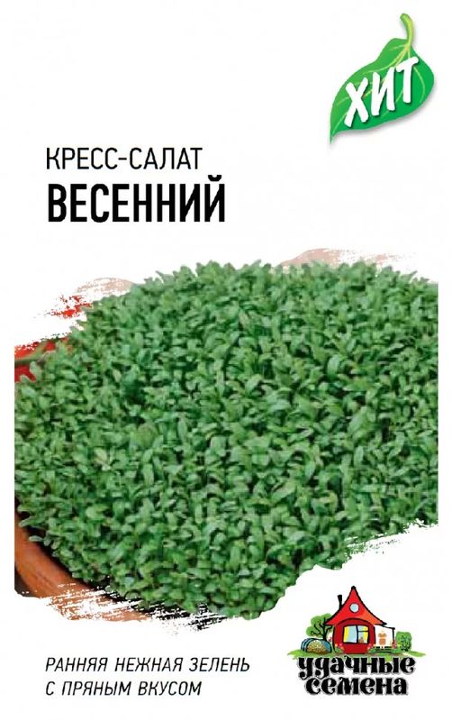 

кресс-салат весенний семена, кресс-салат весенний семена купить