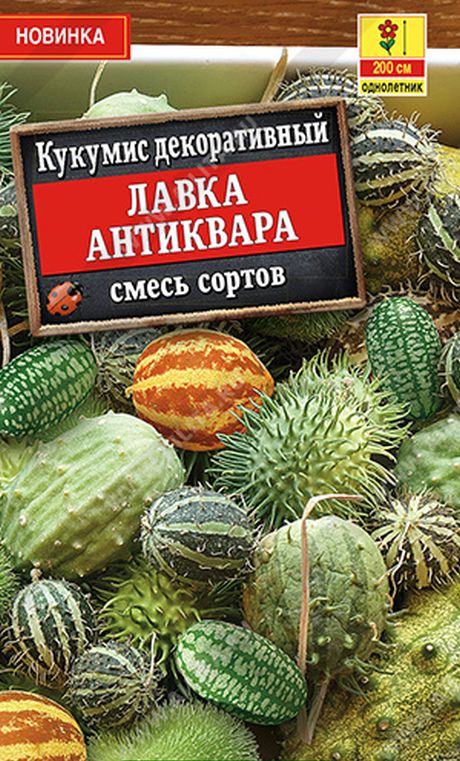 Кукумис декоративный Лавка антиквара, смесь сортов