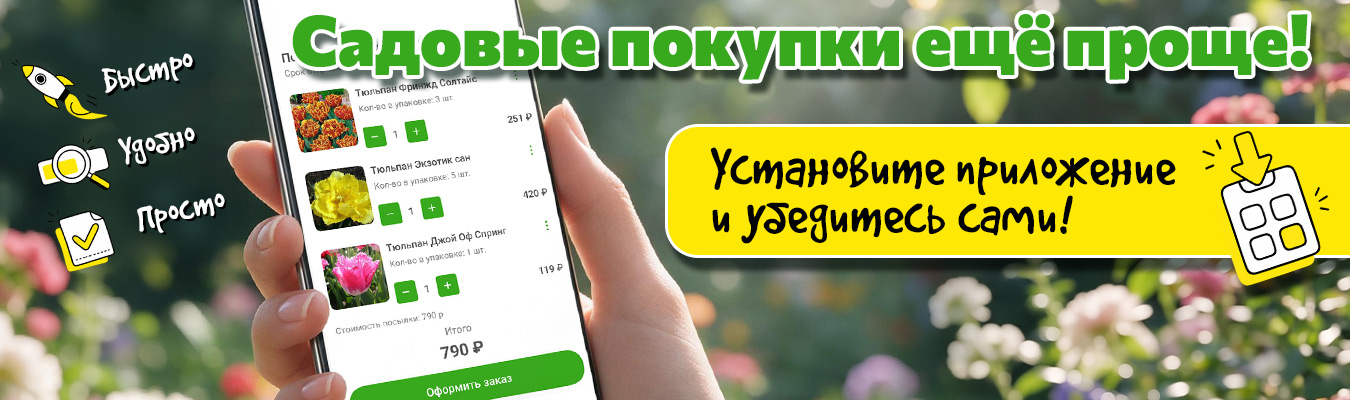 Мы запустили мобильное приложение!