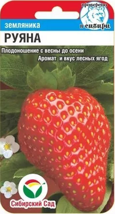 

земляника руяна семена, земляника руяна семена купить