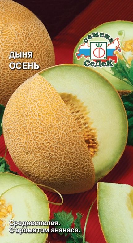 

дыня осень семена, дыня осень семена купить