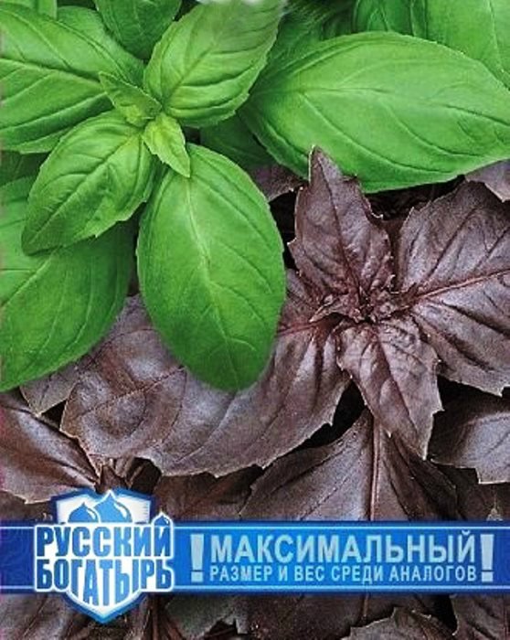 

базилик русский богатырь, смесь семена, базилик русский богатырь, смесь семена купить