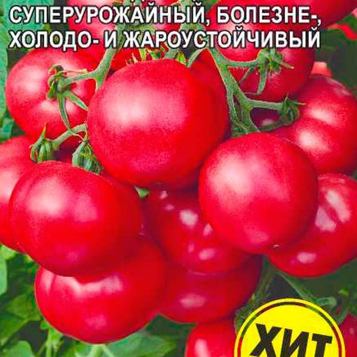 Семена Томат Лось F1: описание сорта, фото - купить с доставкой или почтой  России