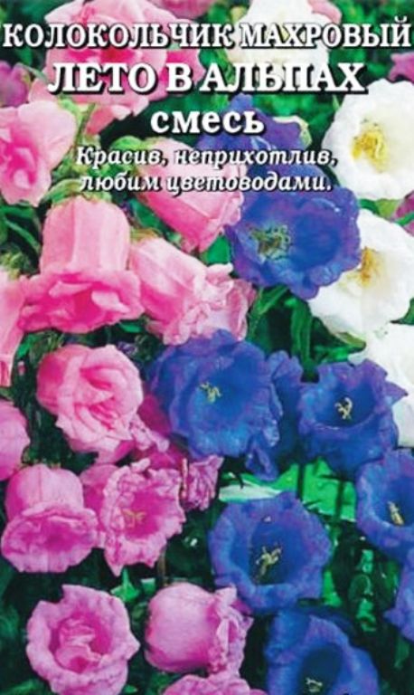 Колокольчик Лето в Альпах смесь