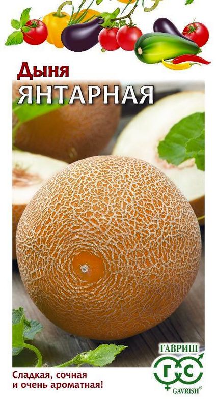 

дыня янтарная семена, дыня янтарная семена купить