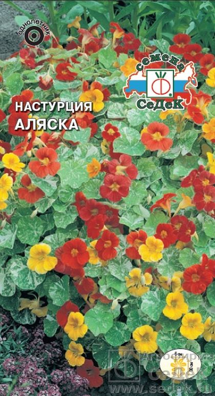 Настурция Аляска