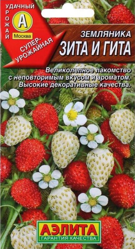 

земляника зита и гита, смесь семена, земляника зита и гита, смесь семена купить