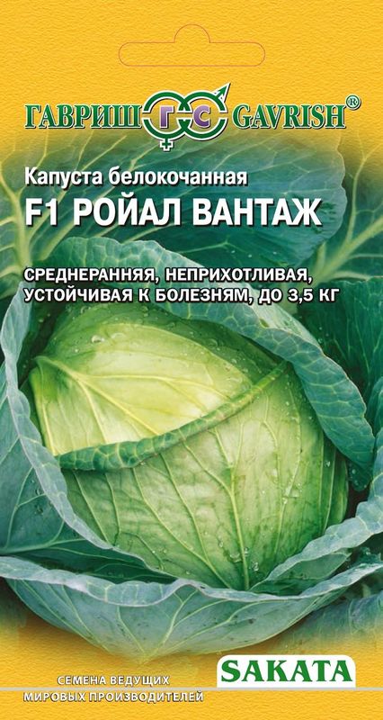 

капуста б/к f1 ройал вантаж ранняя семена, капуста б/к f1 ройал вантаж ранняя семена купить