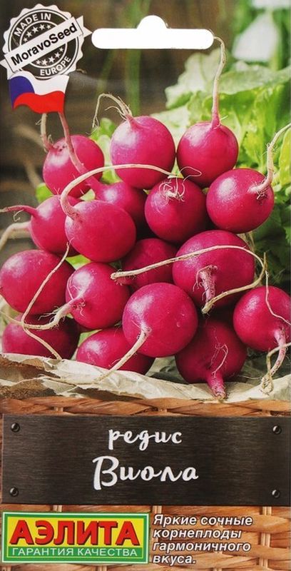 

редис виола семена, редис виола семена купить