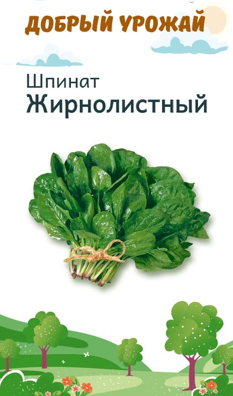 Шпинат Жирнолистный