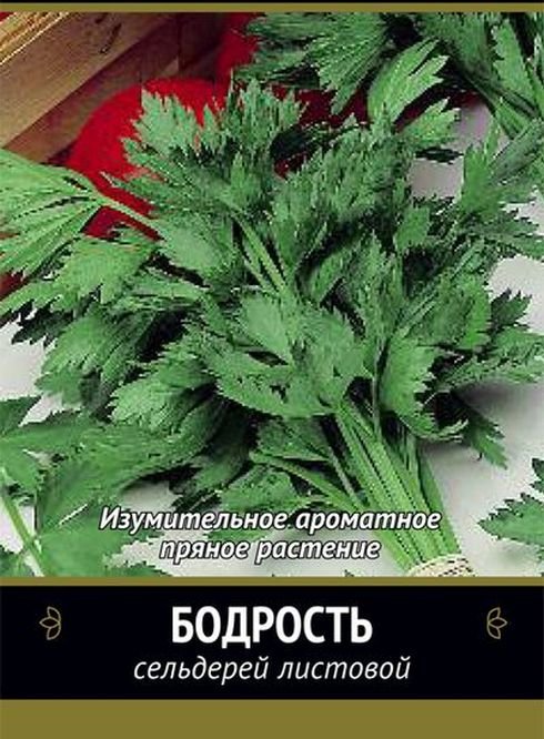 Семена Сельдерей листовой Бодрость: описание сорта, фото - купить сдоставкой или почтой России