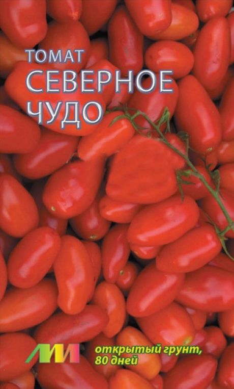 

томат северное чудо красный семена, томат северное чудо красный семена купить