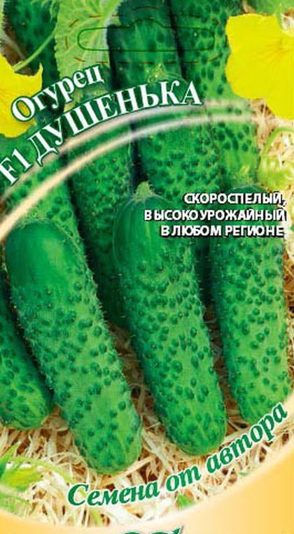 

огурец душенька f1 семена, огурец душенька f1 семена купить