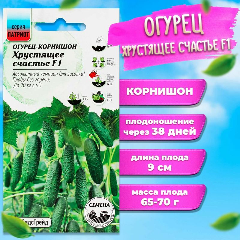 

огурец хрустящее счастье семена, огурец хрустящее счастье семена купить