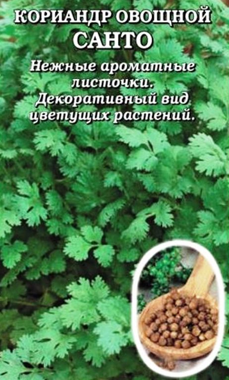 Кориандр Санто