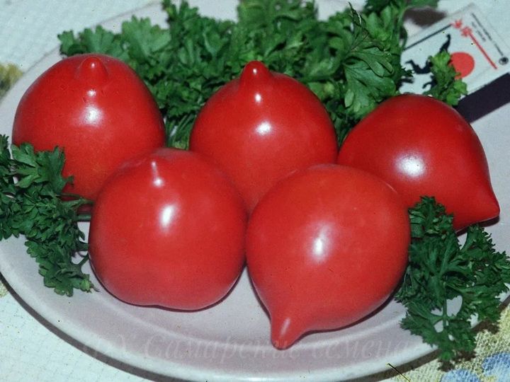 

томат лиана красная семена, томат лиана красная семена купить