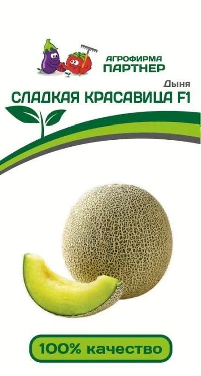 

дыня сладкая красавица f1 семена, дыня сладкая красавица f1 семена купить